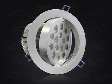 Epistar 15 Watt High Power LED downlight globes 1200lm High Lumen Warm White