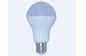 13Watt A70 Global LED Lamp 1000lm E27 B22 D70 x 124mm CE RoHS