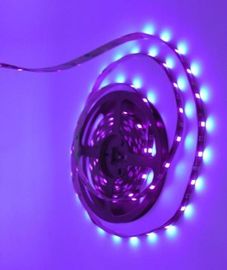 Flexible Sterilizing Lighting LED Strip Light Kits SMD 5050 Purple 24 W adapter