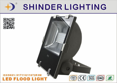 Long Lifespan 50 W Waterproof LED Flood Lights , Low Voltage LED Floodlights