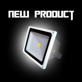 30W 3000K / 4000K IP65 CRI 75 Outdoor LED Flood Lights 110lm/W For Garden