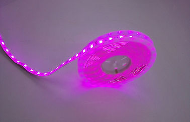 Christmas Lighting Colorful RGB Flexible Led Strip SMD5050 DC12V