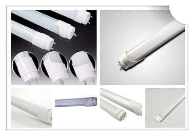 Economical  2ft LED T8 Tube Light Fixture 10 W / 12 W With 330 Degree Beam Angle