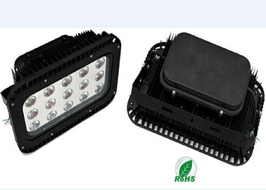 High Efficiency Plaza / Stadium 150W COB LED Flood Light IP65 , Outside LED Floodlight