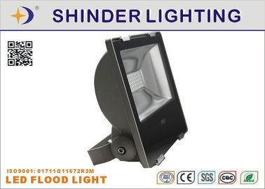 Long Lifespan 50 W Waterproof LED Flood Lights , Low Voltage LED Floodlights